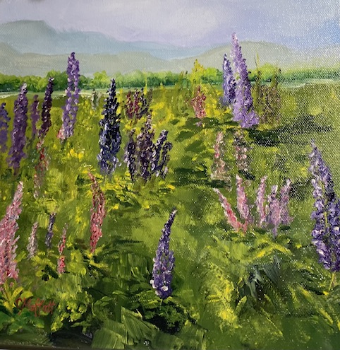 Carol Moffatt | Lupins near the Rees | McAtamney Gallery and Design Store | Geraldine NZ